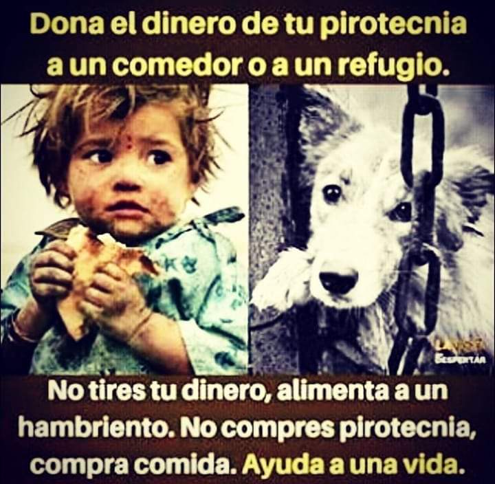 Dona el dinero de tu pirotecnia a un comedor o a un refugio