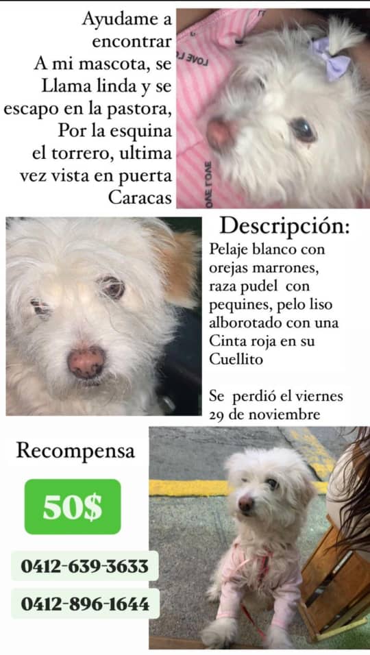 Atención la pastora. Su familia la busca. Difunde para ayudarla a volver a casa