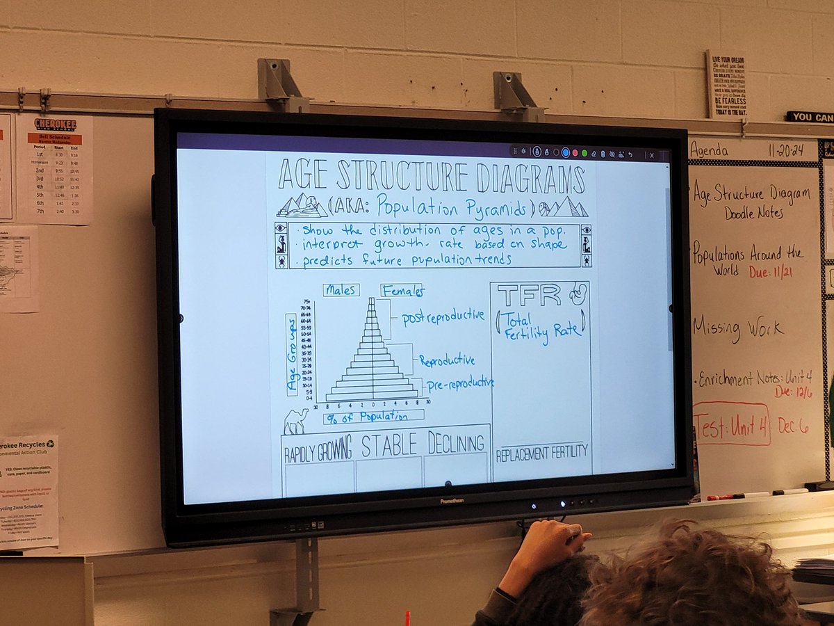 Jamie Vogan tweet media
