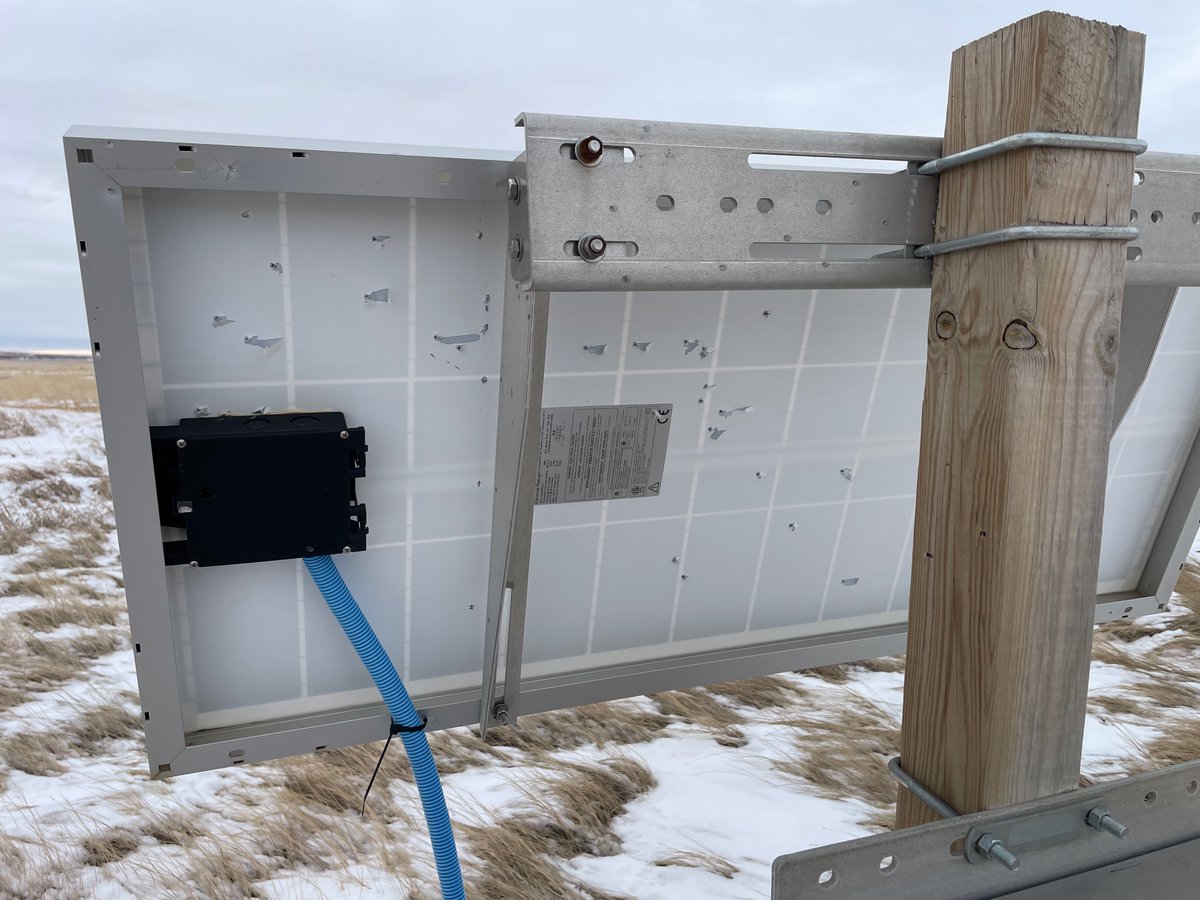 Daryl Ritchison tweet media