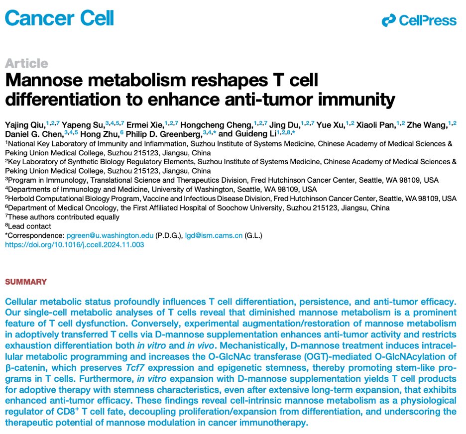 Excited to share one of the key pieces of my postdoc work! Our co-first author paper in out today <a href="/Cancer/">Inside Cancer</a> Cell explores how mannose supplementation metabolically programs T cell differentiation to boost anti-tumor immunity. Paper link: authors.elsevier.com/c/1kDHf5TA51hP…