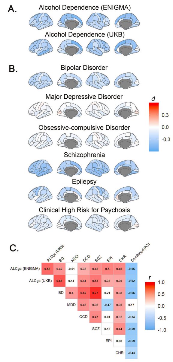 PTenigma's tweet image. Today&apos;s ENIGMA Summit compared over 20 brain disorders in tens of thousands of people scanned with MRI, and suggests that:
1. brain disorders that hit very early, before birth (e.g. those due to genomic copy number variants such as genetic deletions) tend to affect cortical…