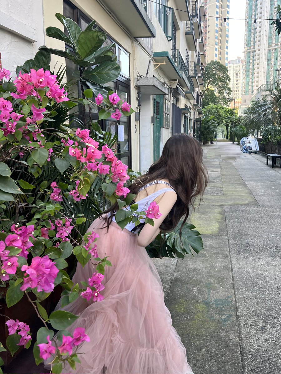 Among the embrace of lush green leaves and the gentle dance of pink petals, I find myself blooming quietly, like a flower kissed by the morning light. In this garden of moments, I am both fragile and fearless, blooming softly, like a flower that never forgets its roots.