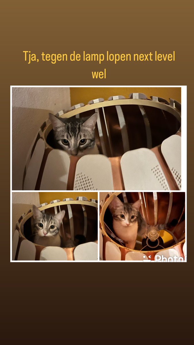 Anna 🌈 (@anna7119) on Twitter photo 