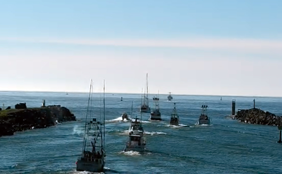 Scott Stoddard tweet media