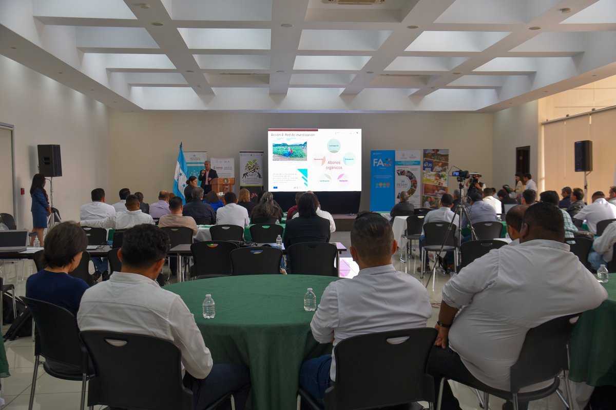 BiovIntCIAT_esp's tweet photo. Para conmemorar el #DíaMundialdelSuelo, nos reunimos con representantes gubernamentales de los sectores agrícola y ambiental, productores y distribuidores de fertilizantes, organizaciones internacionales, ONG, académicos y científicos y comunidades agrícolas en Honduras. https://t.co/YxQh2gscJj