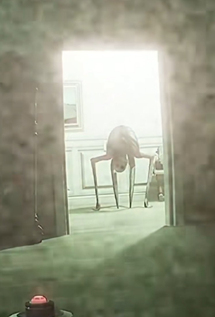 GhostFaceChick's tweet photo. @RynexGD I found this video on TikTok. I was wondering if this ghost is still in the game? I haven't seen it yet. https://t.co/ZT727x705k
