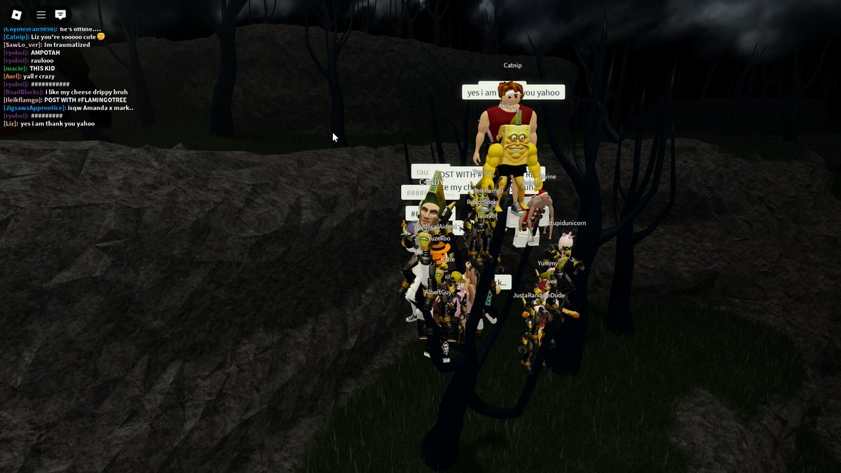 ivouwa_'s tweet photo. #flamingotree https://t.co/M5eVDSJwUU