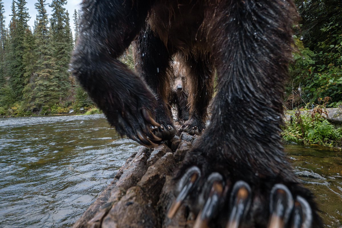 "Focus on images that create emotion, or images that stop a viewer and make them really look." Winning photo advice from 2025 BigPicture judge Peter Mather. Photo submissions are open now until March 1! Enter here: bit.ly/3OygKxb