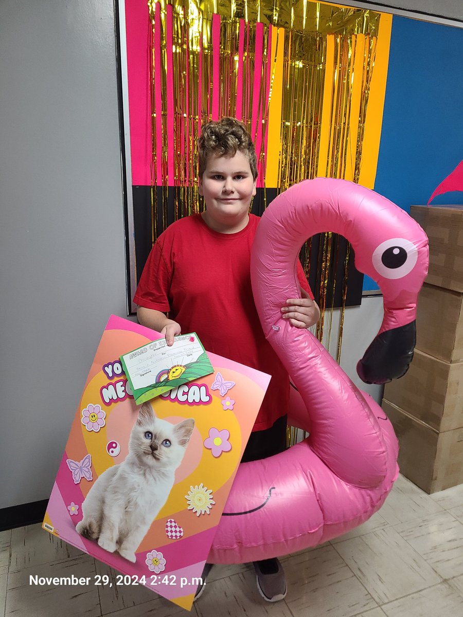 MQW School tweet media