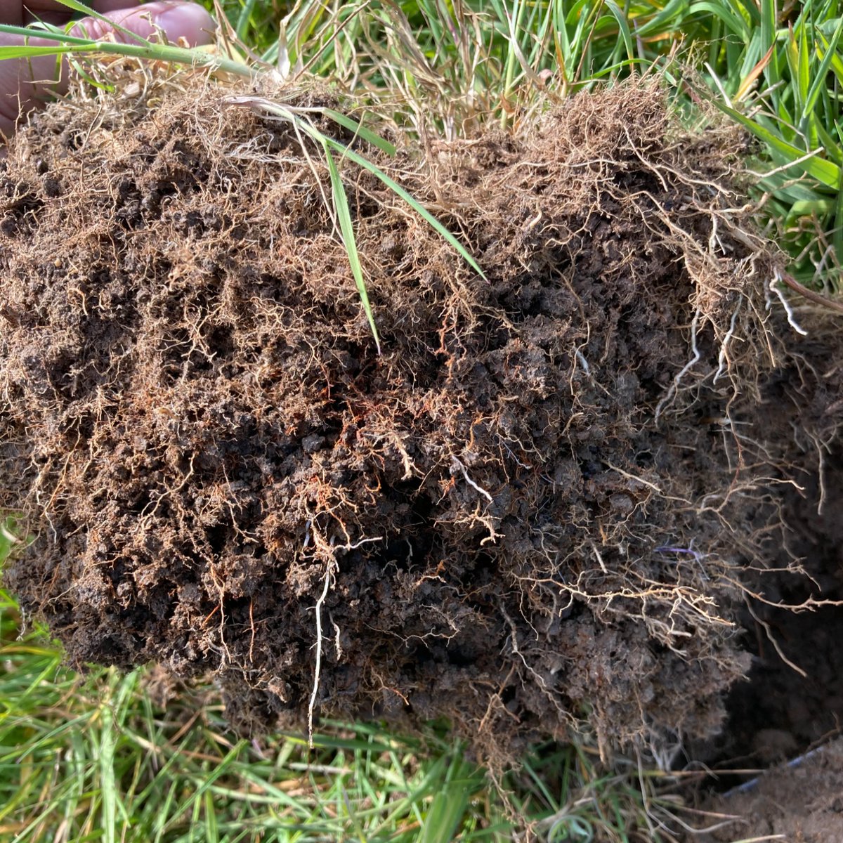 Today is #WorldSoilDay! Did you know that one teaspoon of topsoil contains around 10,000 different species of microorganisms?

If you manage land, and would like free, confidential advice on how to improve and maintain soil health, contact farmadvice@calderandcolneriverstrust.org