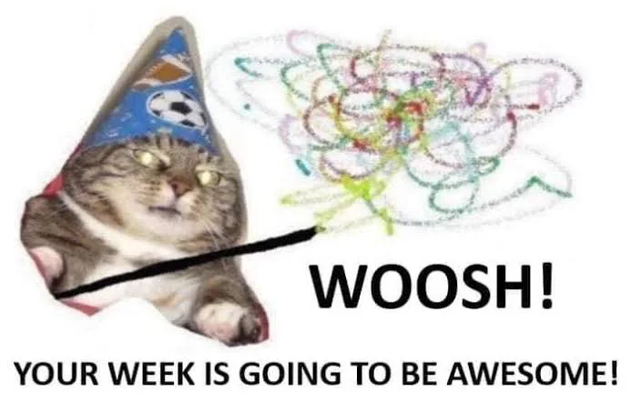 WholesomeMeme's tweet photo. https://t.co/6xLff7jBxN