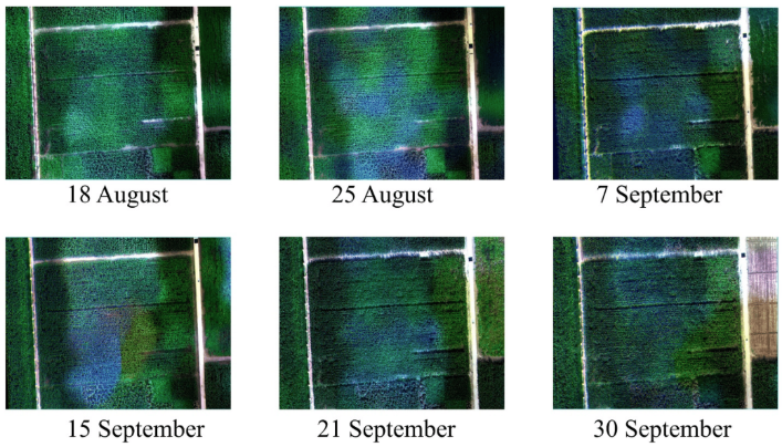RemoteSens_MDPI's tweet image. 🌽🌽 #MachineLearning-Based Approaches for Predicting #SPAD Values of #Maize Using #MultiSpectral Images

✍️ Yahui Guo et al.
🔗 brnw.ch/21wPdNk