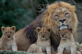 Deren (@derennft) on Twitter photo 