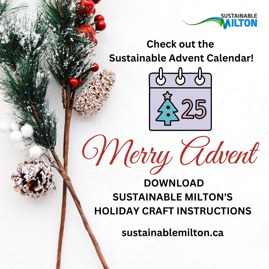 SustainMilton's tweet image. Here's a direct link to our sustainable craft ideas: sustainablemilton.ca/holiday-crafts…
Hope to see y'all at our booth at Miracle on Main Street on Saturday 2pm - 7pm.  #environmentfirst #solutionfocused #sustainablemilton #crafts #christmascrafts #christmascraftsforkids