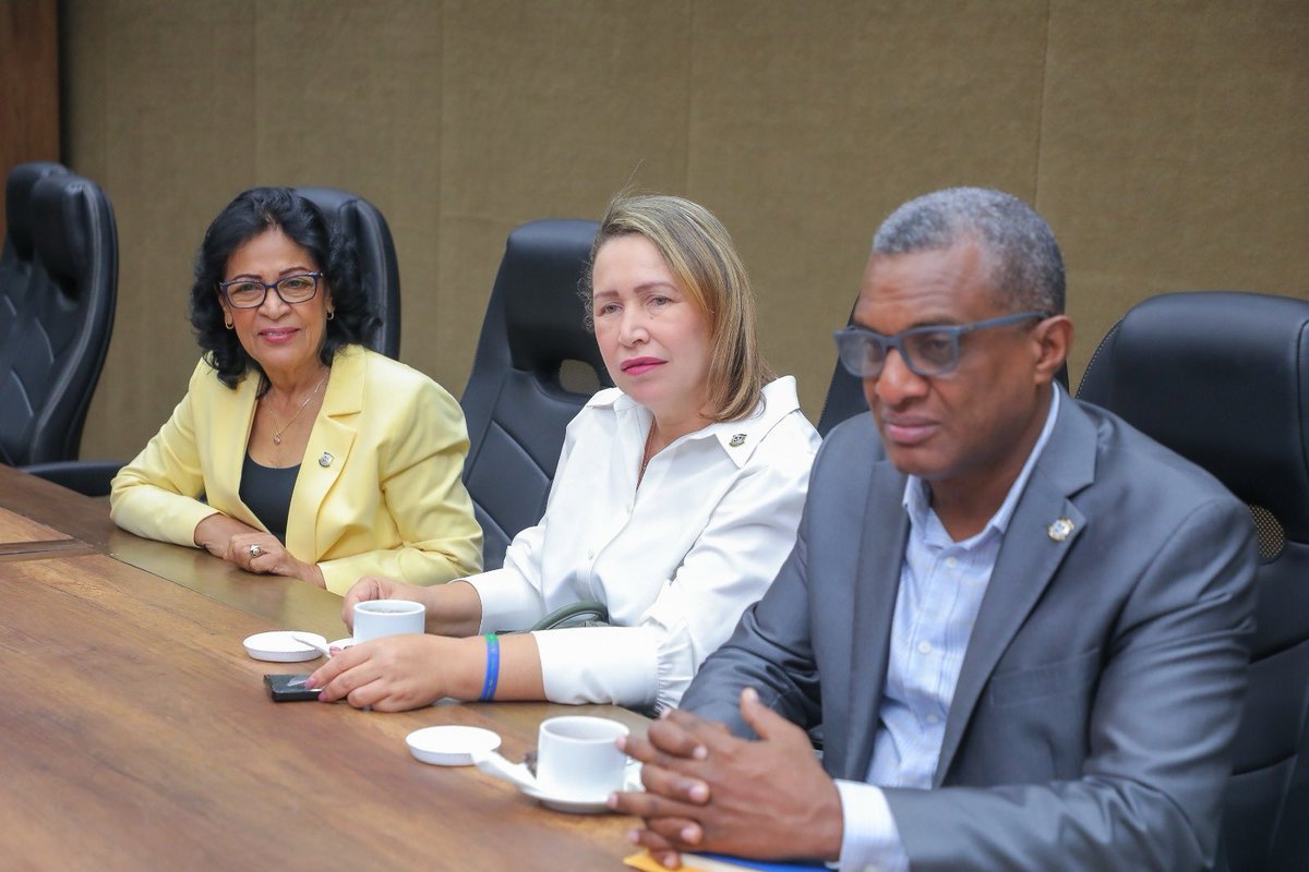 Cámara de Diputados de la República Dominicana tweet media