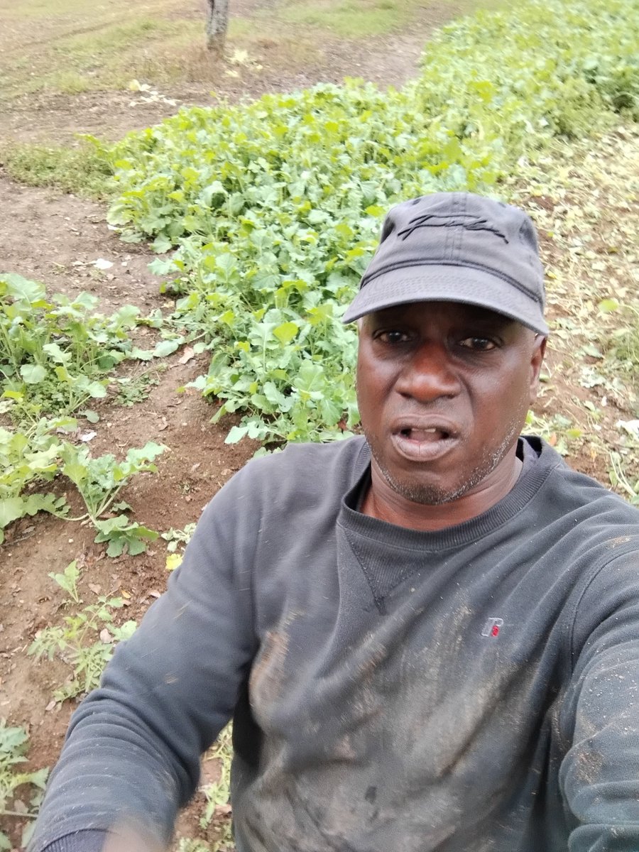 StevenTHammond's tweet photo. Just signed another BIG
  $ GREEN $ endorsement   deal ✓

With ...

Tyrone's:  Collard Greens; Chicken &amp; Waffle; Barber Shop ; Car Wash ; Open Heart Surgery and Tax Prep!

We  SHITT' NG  green

You better call Tyrone. https://t.co/LXD776Ks5c
