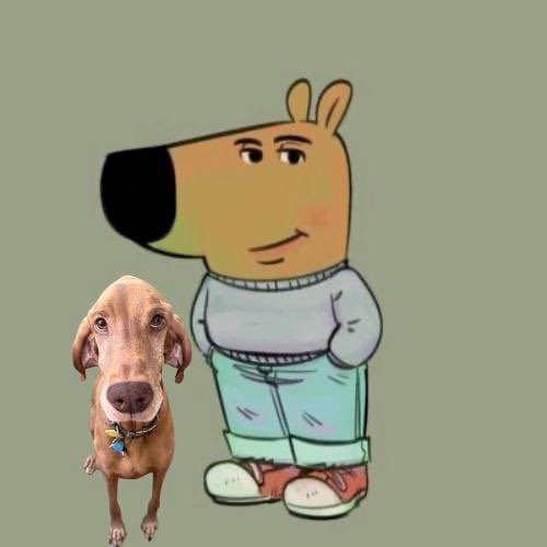 IamCryptoLarry's tweet photo. @TrueGemHunter The Gem of Dogs

$TOBY 
DEV OF CHILL GUY

JBaG2pMdbapr5eAqcQkmVtH2kbhNgDim7rCiSExLpump

Bond that sendor 💎 https://t.co/mOKF6nwj2P