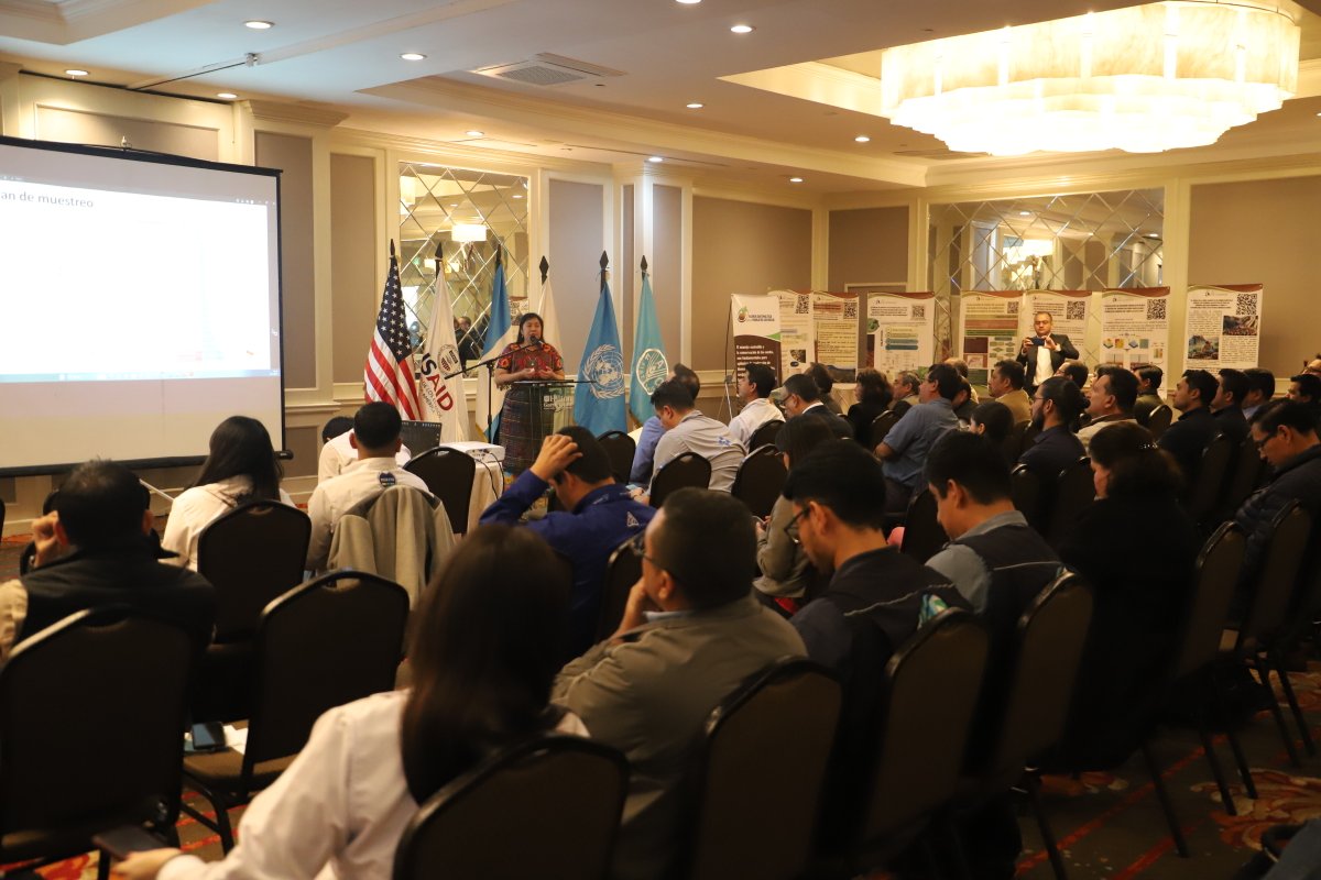 FAO Guatemala tweet media