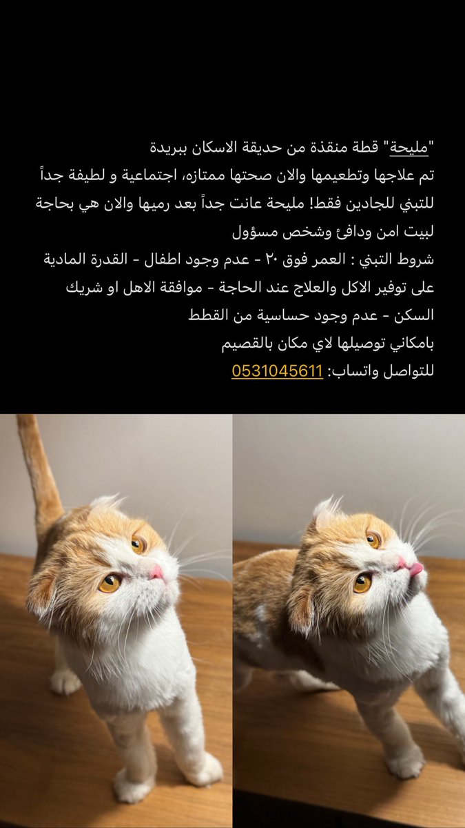 تالا tweet media