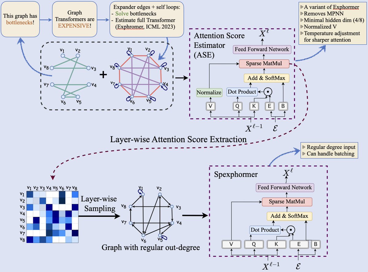 Hamed Shirzad (@hamedshirzad13) on Twitter photo Graph Transformers (GTs) can handle long-range dependencies and resolve information bottlenecks, but they’re computationally expensive. Our new model, Spexphormer, helps scale them to much larger graphs – check it out at <a href="/NeurIPSConf/">NeurIPS Conference</a> next week, or the preview here!
#NeurIPS2024 Graph Transformers (GTs) can handle long-range dependencies and resolve information bottlenecks, but they’re computationally expensive. Our new model, Spexphormer, helps scale them to much larger graphs – check it out at <a href="/NeurIPSConf/">NeurIPS Conference</a> next week, or the preview here!
#NeurIPS2024