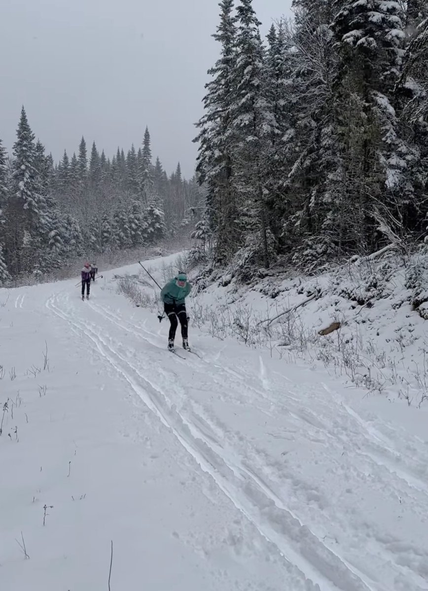 Saint Michael's College tweet media