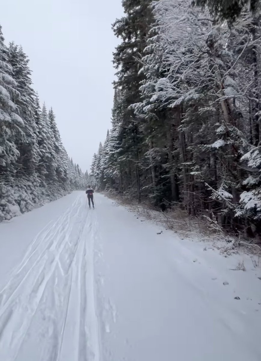 Saint Michael's College tweet media