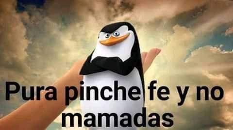 elcriss02yt's tweet photo. @mikemaquinadel Al pachuca le toco equipo caramelito......... https://t.co/iY0Vc9wpE5