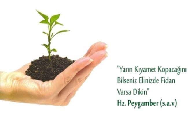 AbdullahCati's tweet photo. DAVET

Ağaç Dikme Etkinliği

🗓️ 6 Aralık 2024 Cuma
⏰ 16.00
📍#Şırnak Orman İşletme Müdürlüğü Arkası

Geleceğe Nefes İnsanlığa Nefes https://t.co/zd35oVfnIc