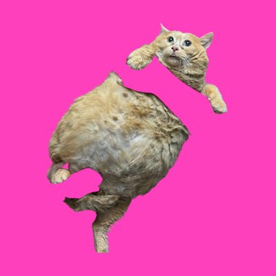 FarCanalStevo! 🐍 tweet media