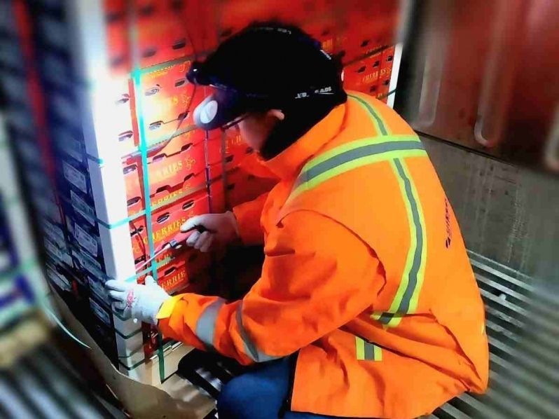 mundomaritimo's tweet photo. #Sitrans impulsa la temporada de exportación frutícola con su servicio de tratamiento de frío #MundoMaritimo https://t.co/emDJ2zybF3 https://t.co/JOE6i4JB0i