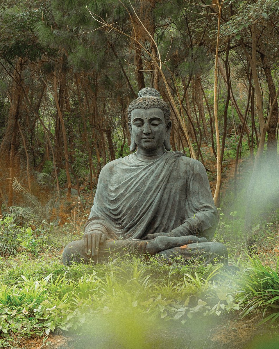 Strendō tweet media