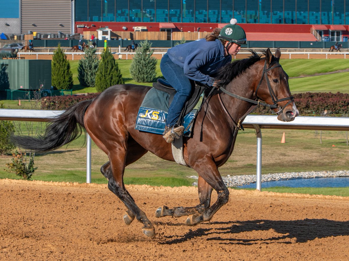 RobertYates1982's tweet photo. Sarah Hamilton galloping Hayes Strike Thursday morning @OaklawnRacing for @SweezeyK. https://t.co/dtqtBjxqof