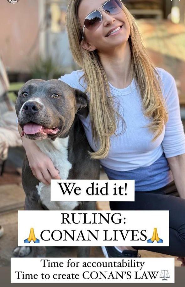 As you already know, we did it! Conan is free! 
BUT WE ARE NOT FINISHED!

Our next mission is to push for Conan’s Law, legislation that ensures no pet faces injustice like this again. ⚖️

It’s time to end breed-specific bias and recognize pets’ right to self-defense.

Thank you