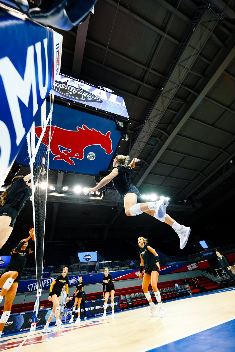 Taking flight ✈️

T-minus 30 minutes to first serve!