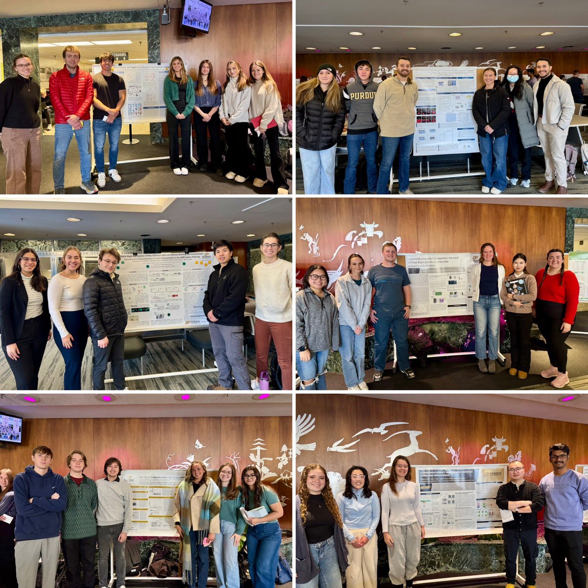 MattooLab's tweet photo. My @PurdueBiolSci BIOL 533 #MedMicro class did an outstanding job on their posters today! 

Students were assigned articles extending from class content. They also designed a "next experiment" based on their article &amp; evaluated if #AI helped refine the expt.

@LifeAtPurdue https://t.co/PeiwEartUR