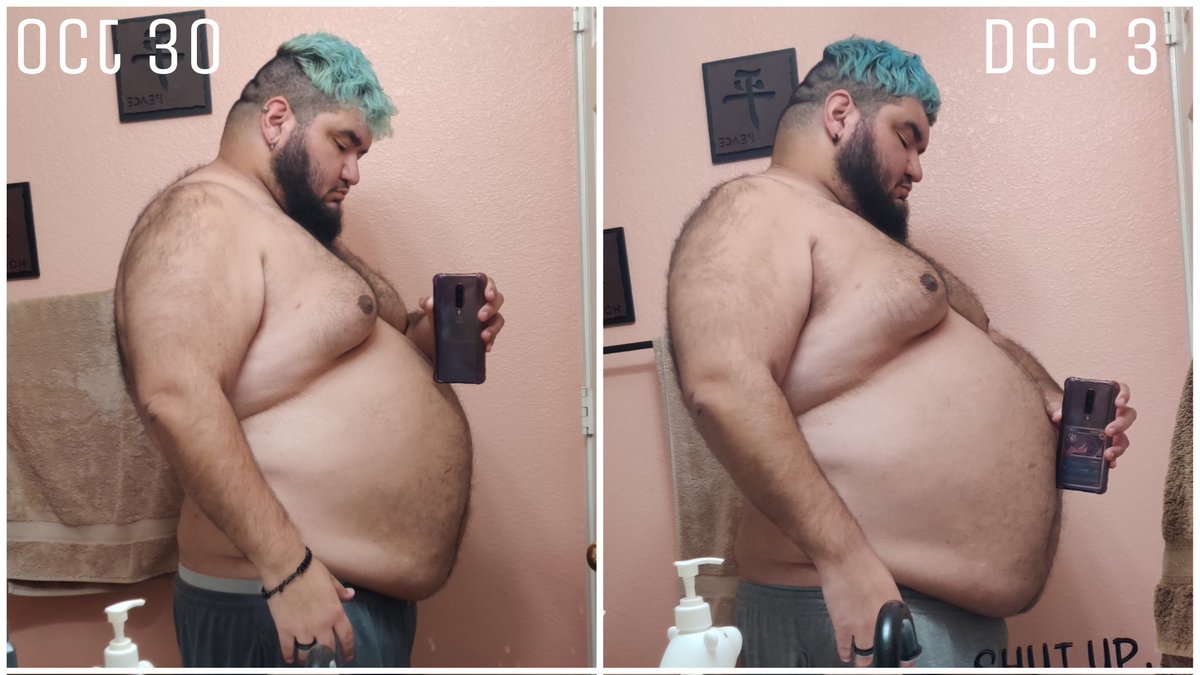 It's crazy what a month of consistent eating will do to a bear, hibearnation is in full swing if you ask me