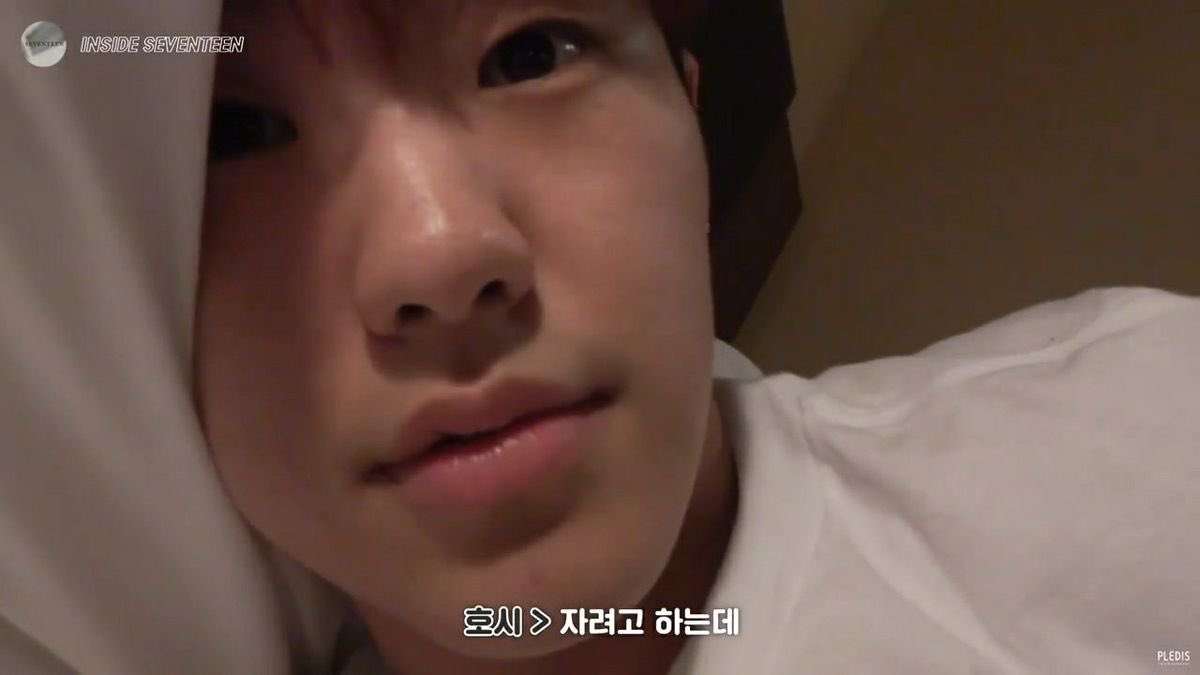 호시 ✭ tweet media