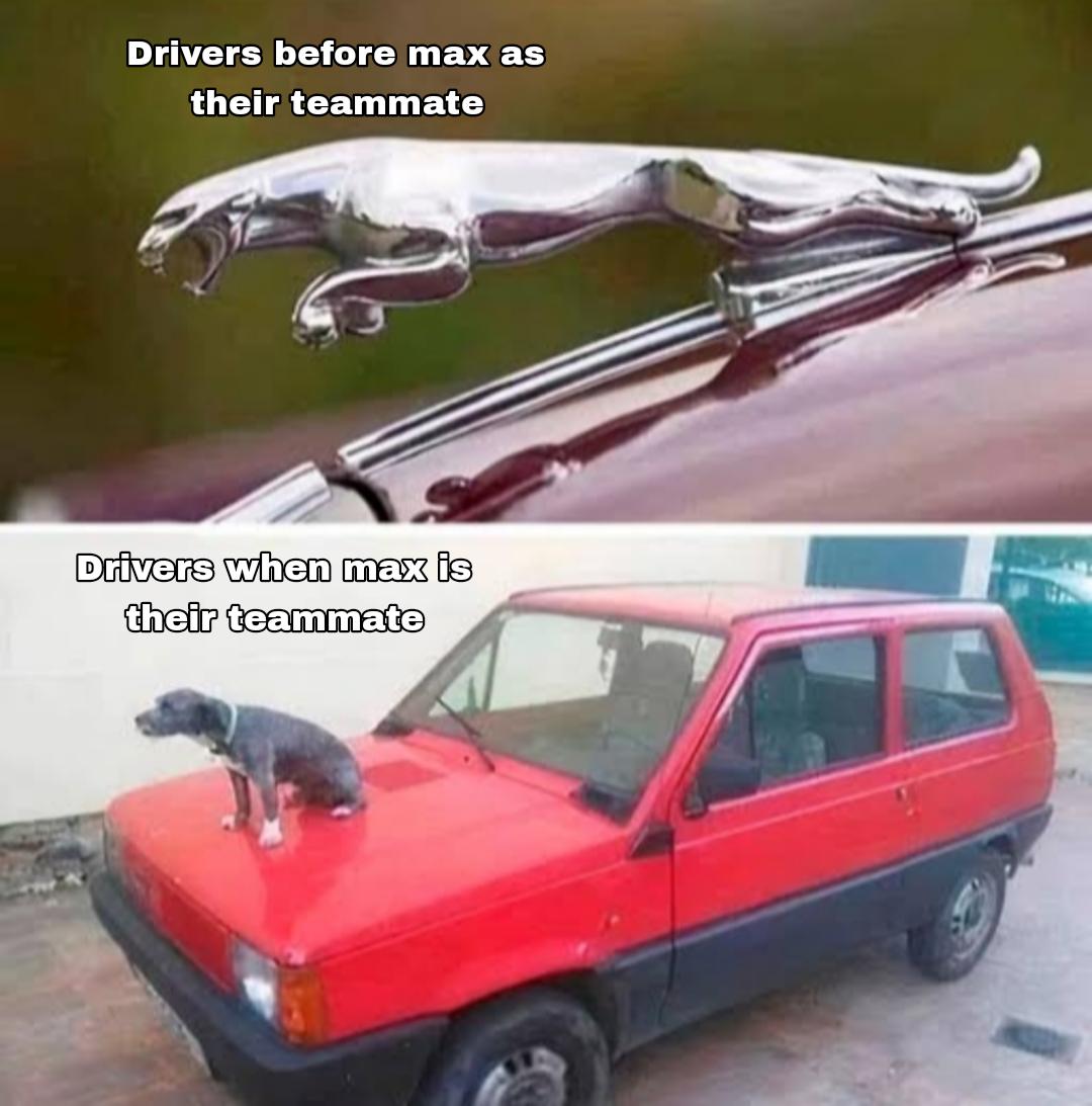 F1 TROLL (@f1trollofficial) on Twitter photo 