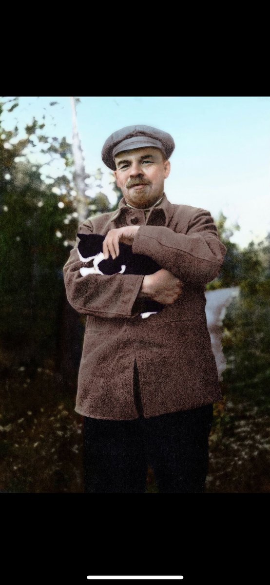 leninnzubi's tweet photo. Vladimir tenía su gato y yo me llamo Lenin y tengo un gato y soy comunista #ConvoyEnRadioChilango https://t.co/oF9TK8wg8h