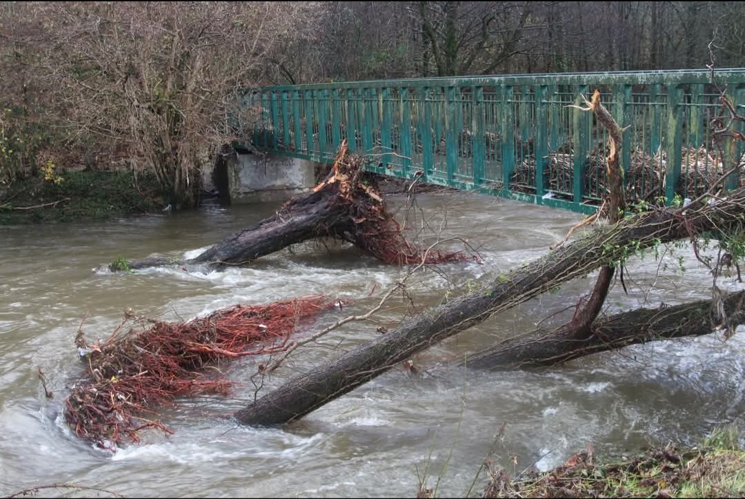 g10fty's tweet photo. @NatResWales Another storm heading our way. Hoover Dam world famous looks the Llanbradach Dam on the River Rhymeney. Rhe village came close to flooding during the last storm but @NatResWales and @CaerphillyCBC have done nowt to clear the debris https://t.co/mu2UrYhop3