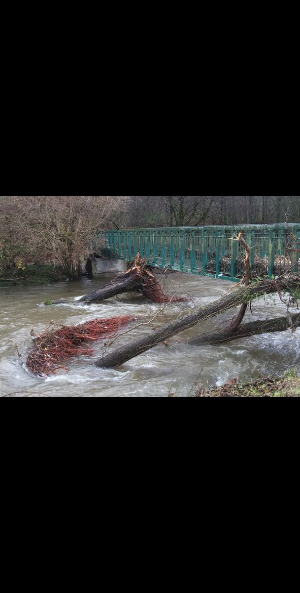 g10fty's tweet photo. @NatResWales Another storm heading our way. Hoover Dam world famous looks the Llanbradach Dam on the River Rhymeney. Rhe village came close to flooding during the last storm but @NatResWales and @CaerphillyCBC have done nowt to clear the debris https://t.co/mu2UrYhop3