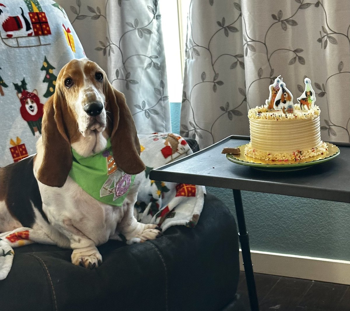 QuincyBasset tweet media