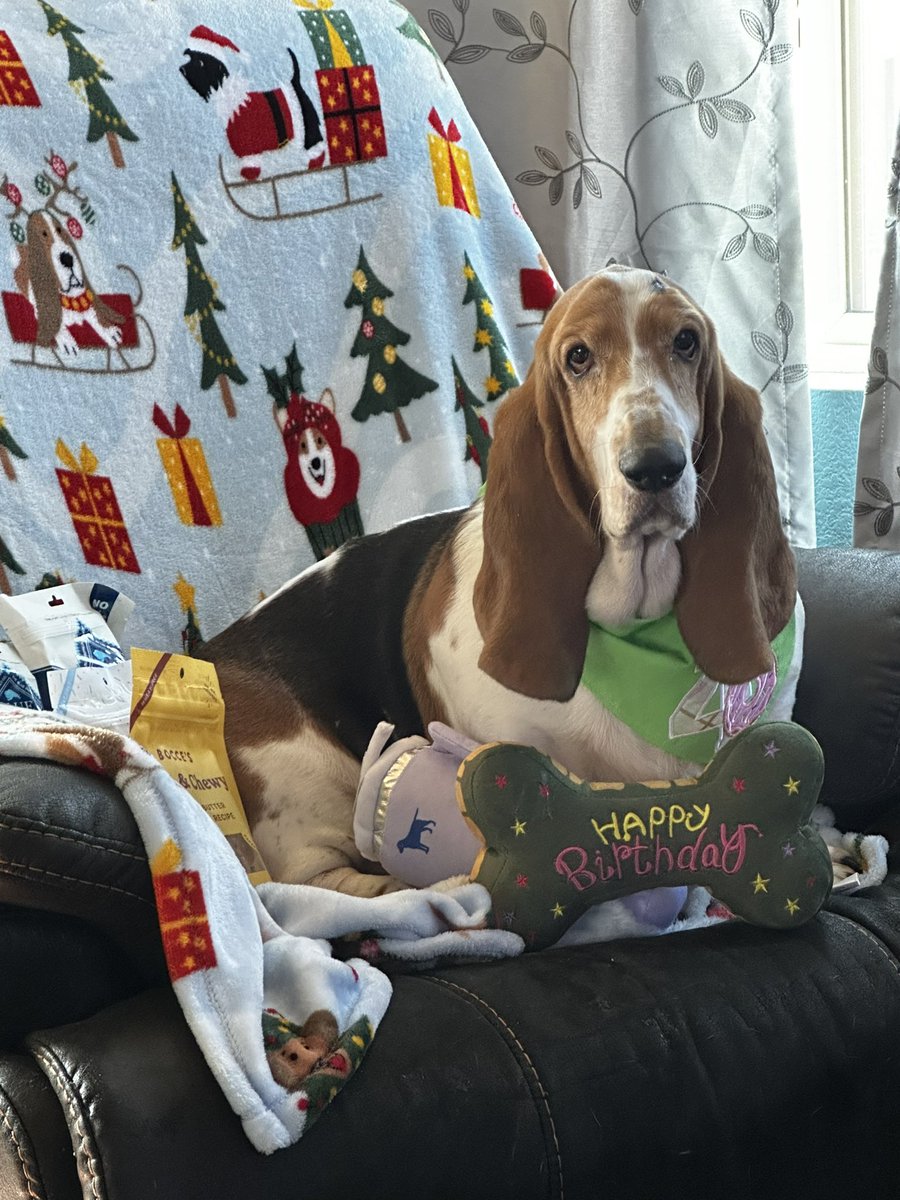 QuincyBasset tweet media