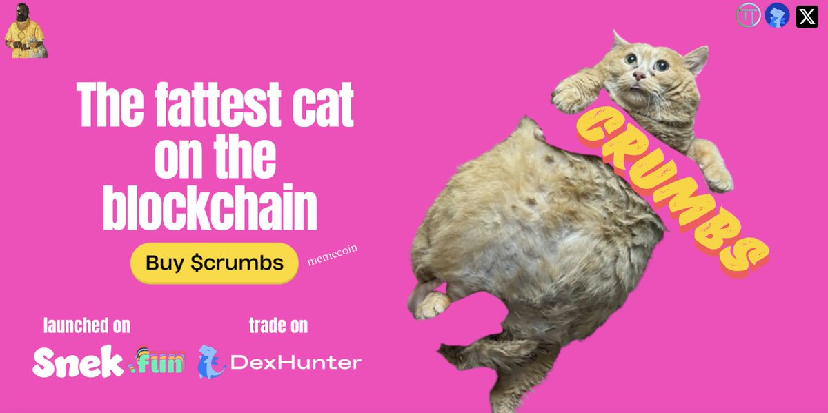 CRUMBS tweet media