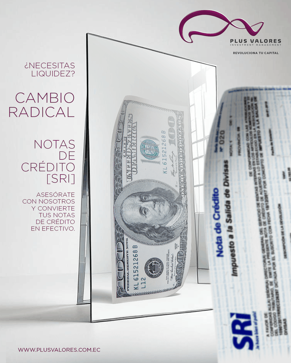 Plus Valores - Investment Management tweet media