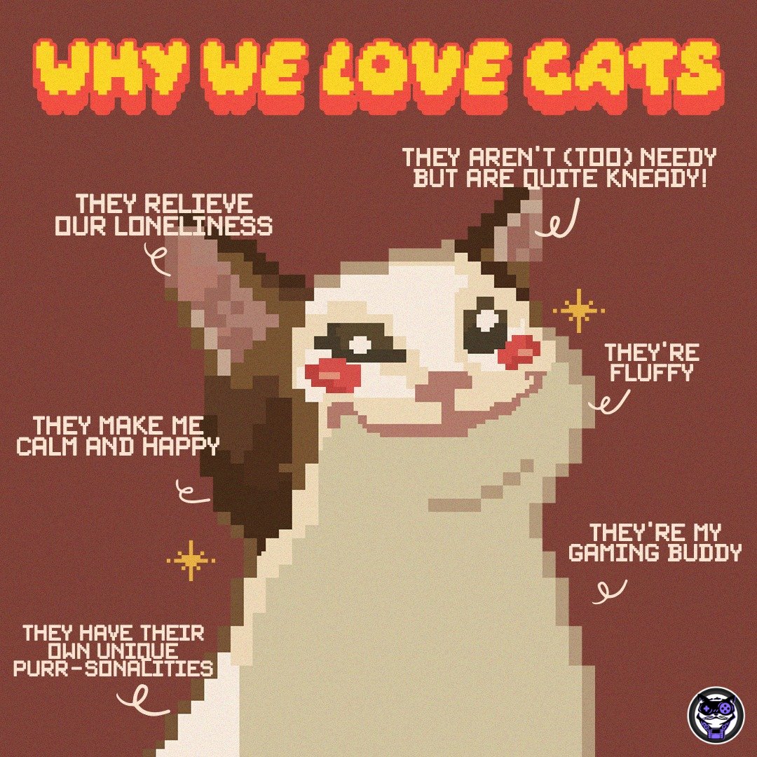 megacatstudios's tweet photo. What do you love most about your #cat? Is it their fluffy fur or their knack for brightening your day? At Mega Cat, we cherish every aspect of their unique personalities!
Join our #CatGlobal Community and showcase your feline friend: https://t.co/0GcH4GCyI5 #Caturday https://t.co/TmBihxaShR