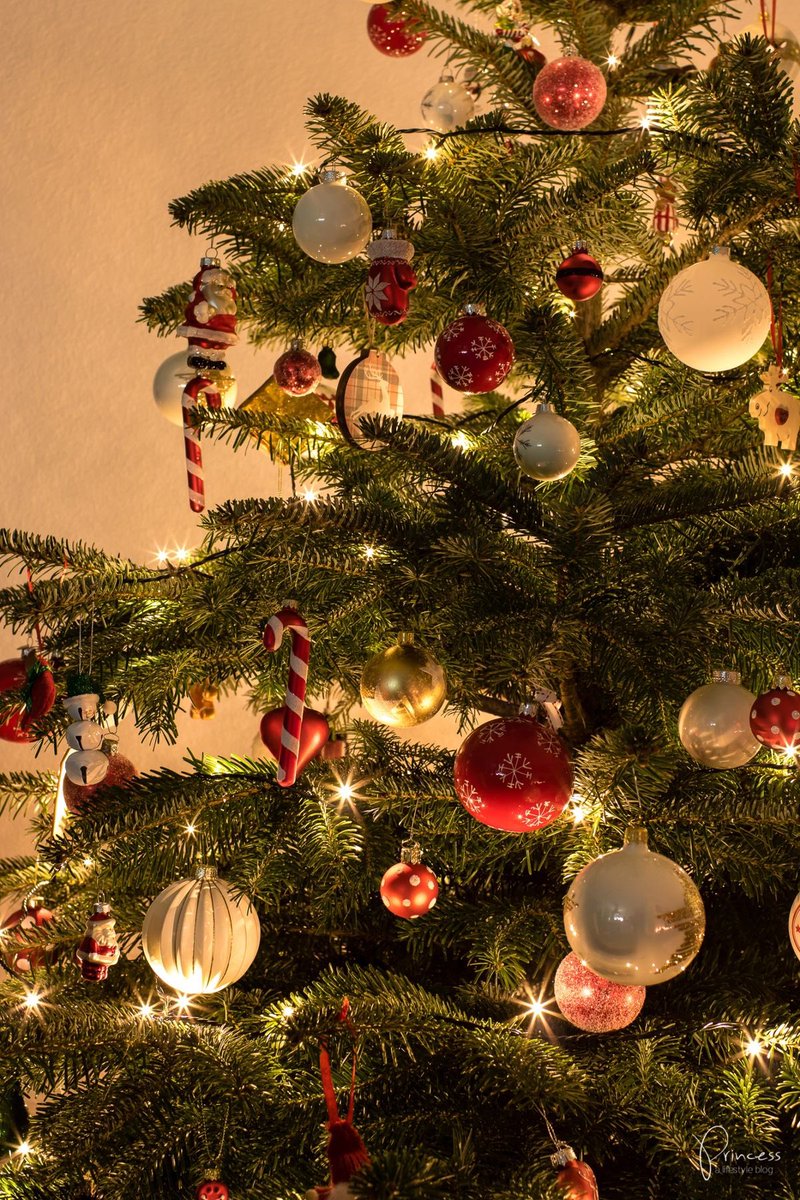 tdtterapia's tweet photo. au giamila - all i want for christmas is u 🎄 

donde cami y gian son amigos desde siempre y ambos llegan a navidad sin pareja. 

cami harta de que cada año le pregunten por una pareja le pide el favor a gian de hacerse pasar por su novio en la cena de navidad familiar. https://t.co/PONdFj0Bf4