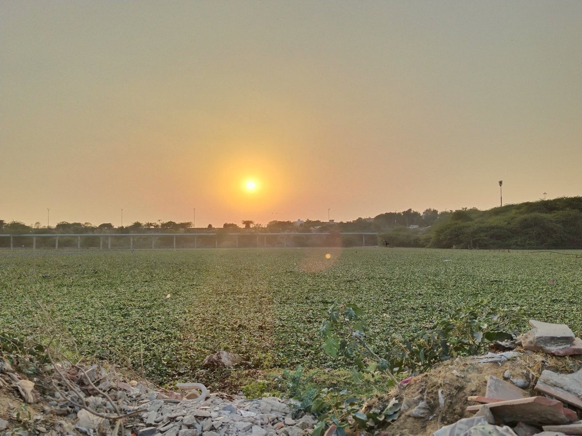 सुबह का सभी भाईयो और बहनो को राम राम आप का दिन मंगलमय हो सुप्रभात