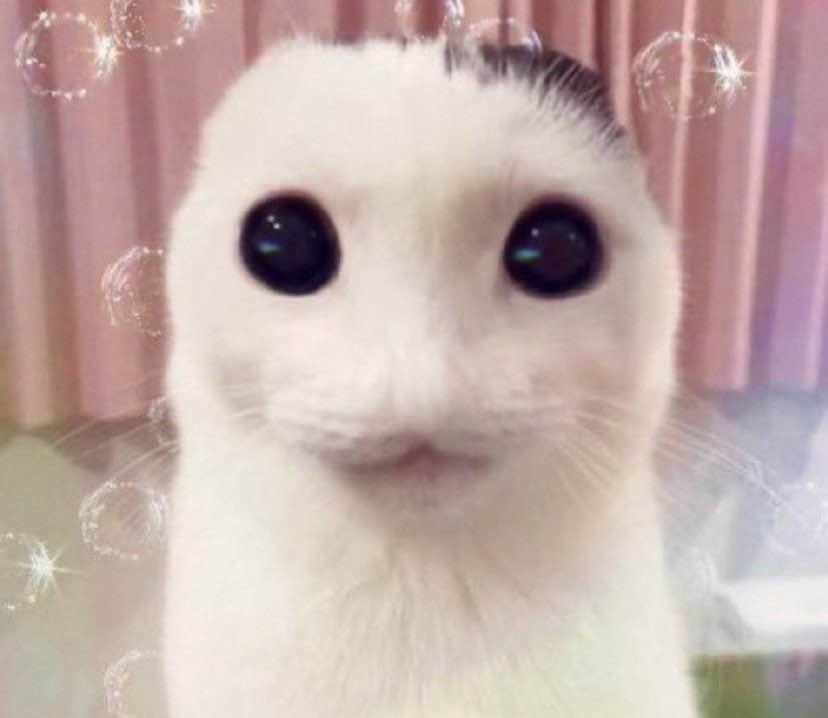 Loslonos's tweet photo. @TheAxolotlSun Hey so like https://t.co/oDYRvZUlDH